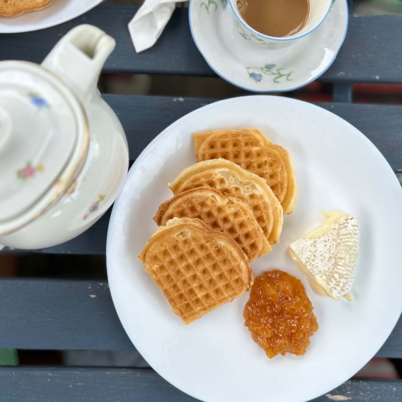 Camembert och hjortronsylt  &ndash; Bild fr&aring;n Tr&auml;dg&aring;rdsfika av Malin&nbsp;P. (2023-07-11)