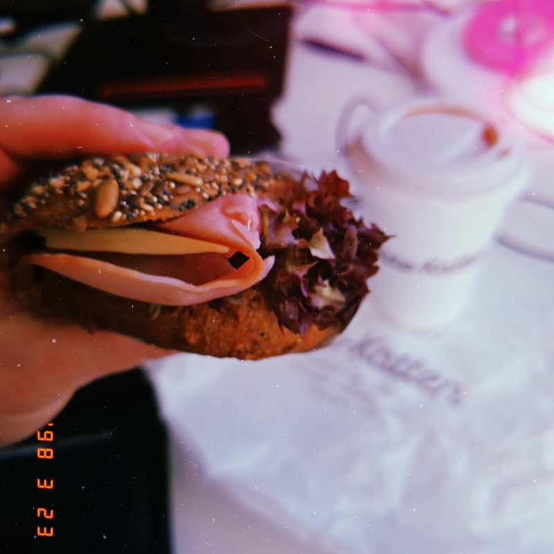 Photo from Vete-Katten Centralen by Cecilia&nbsp;S. (26/03/2026)