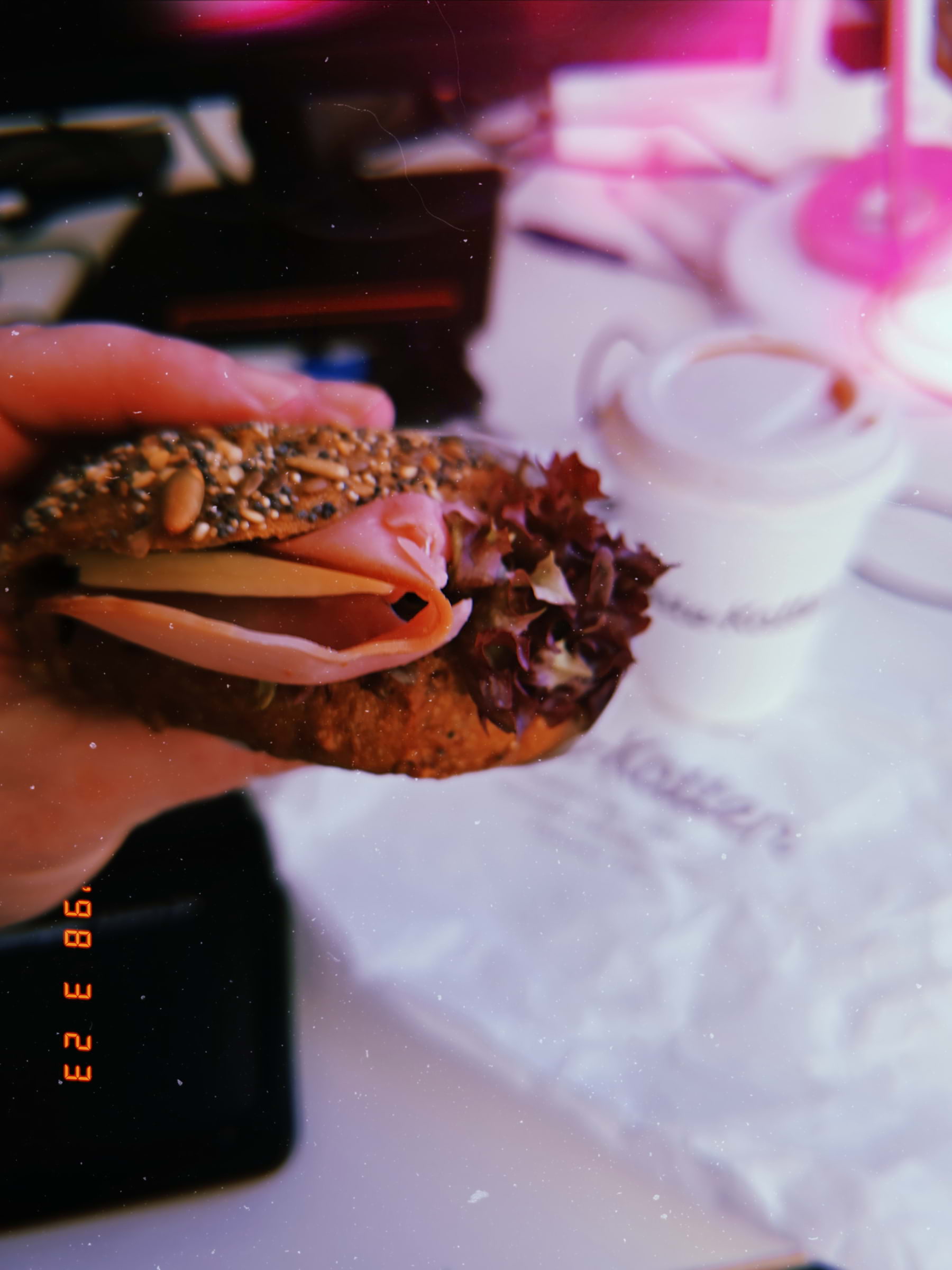 Photo from Vete-Katten Centralen by Cecilia S. (26/03/2026)