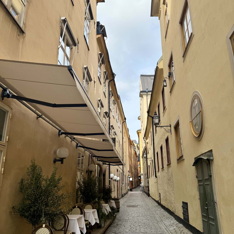 Bild från Vingården av Hanna T. (2025-06-16)