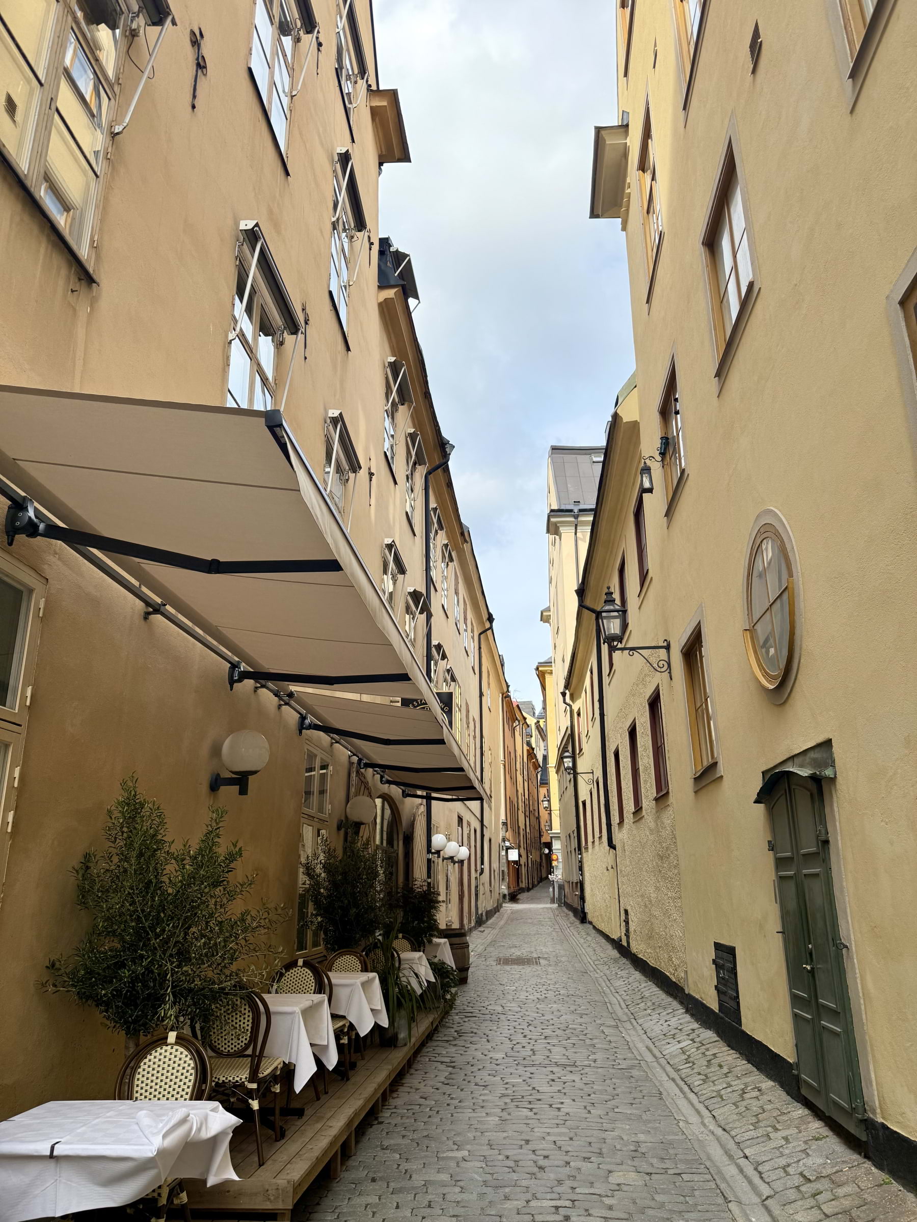Bild från Vingården av Hanna T. (2025-06-16)