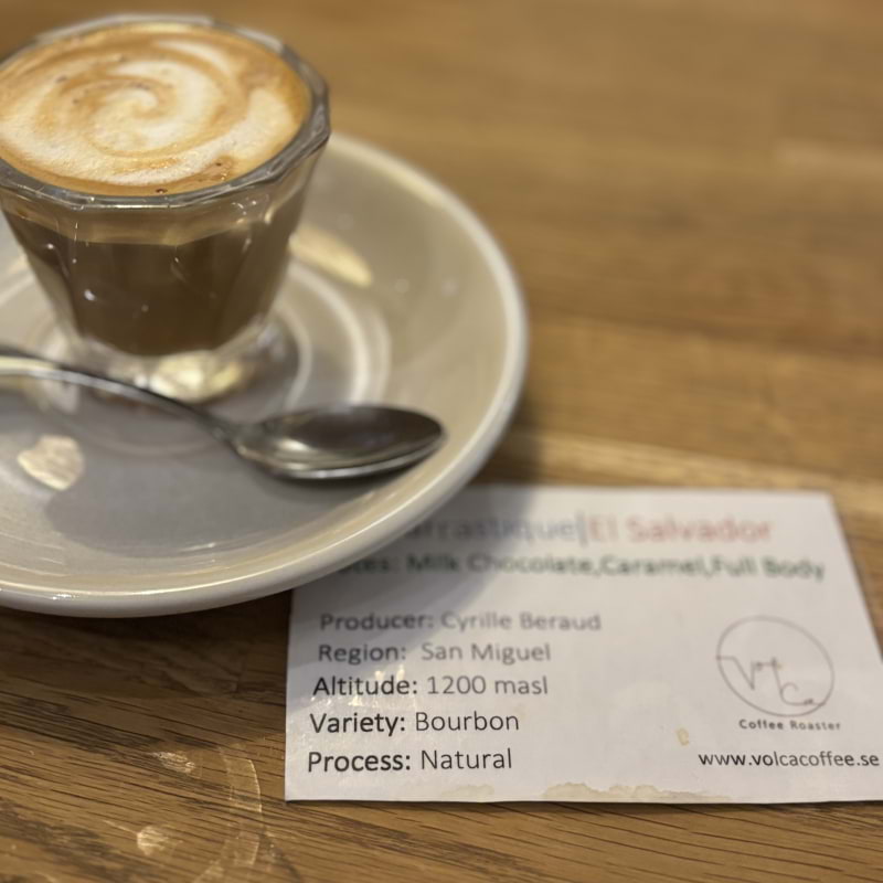 Cortado – Photo from Volca Coffee Roasters by Madiha S. (06/10/2024)