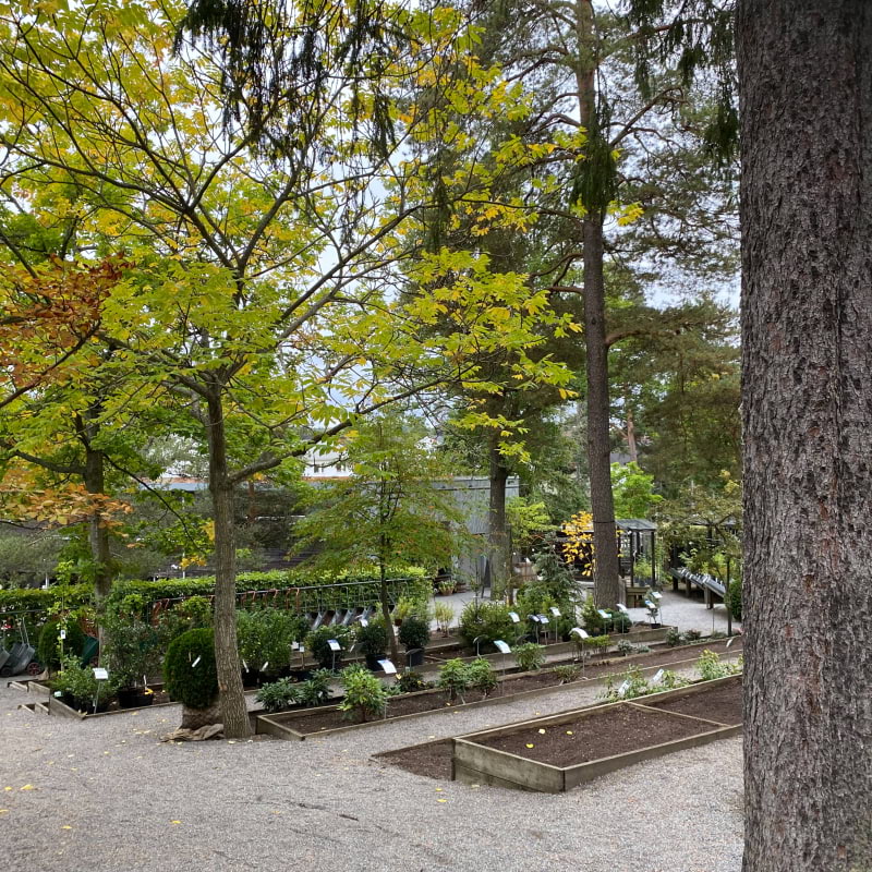 En liten del av trädgården – Photo from Zetas Trädgård by Anna L. (12/10/2024)