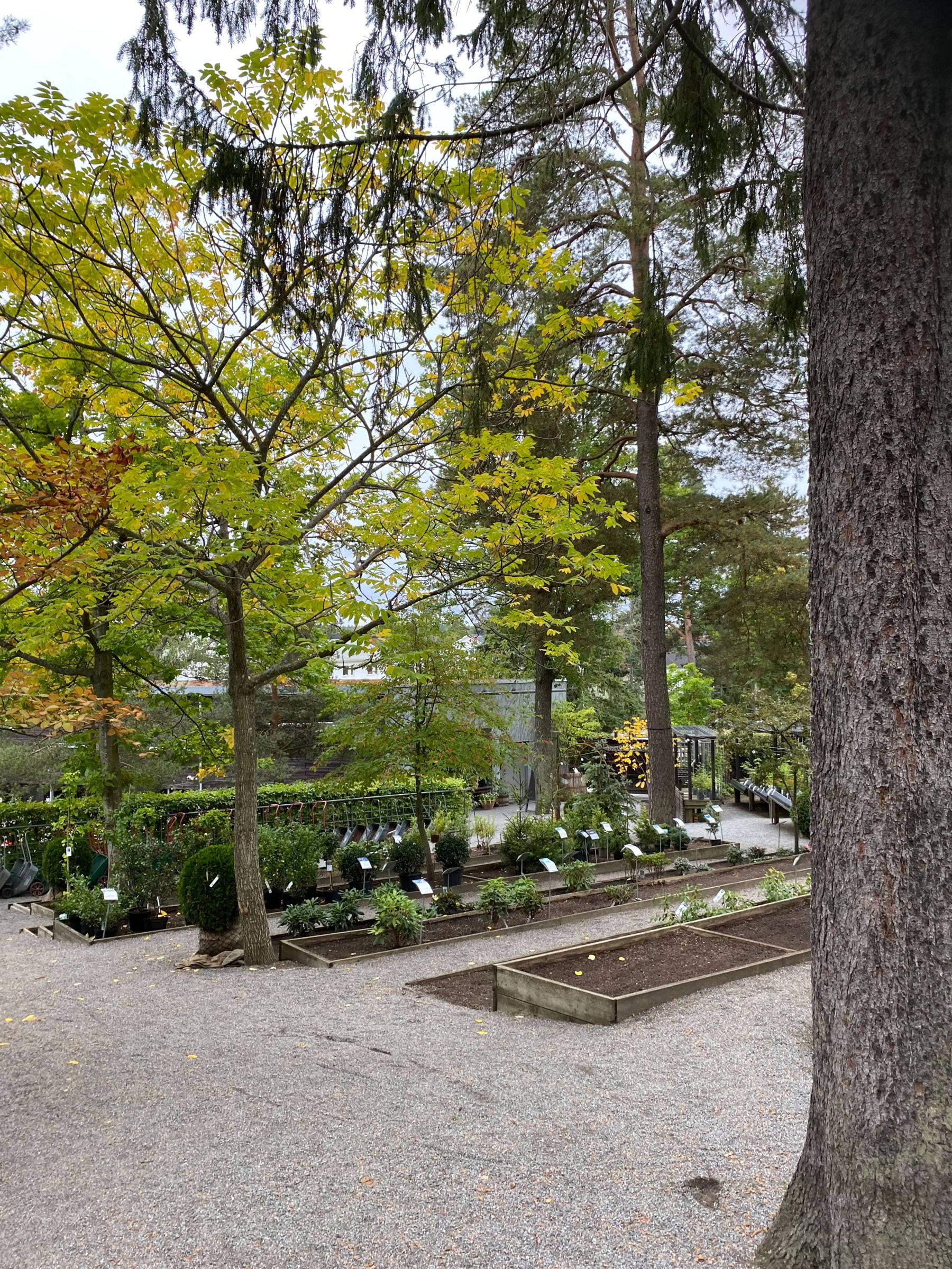 En liten del av trädgården – Photo from Zetas Trädgård by Anna L. (12/10/2024)