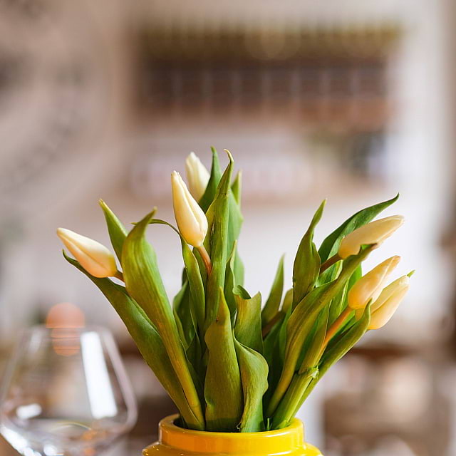 El Toro de Andalucia