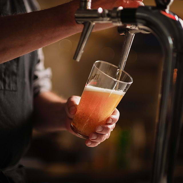 El Toro de Andalucia