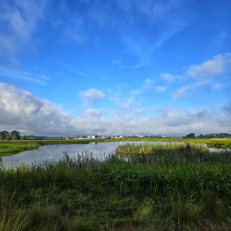 Bild fr&aring;n Oset naturreservat av Cecilia&nbsp;S. (2026-05-04)