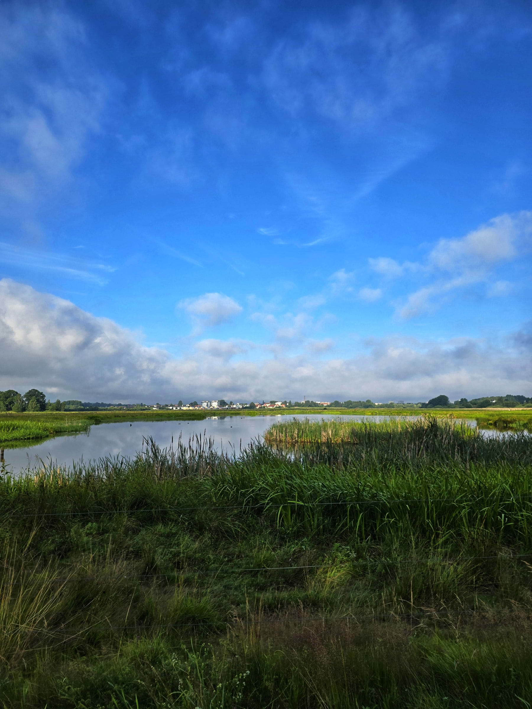 Bild från Oset naturreservat av Cecilia S. (2026-05-04)