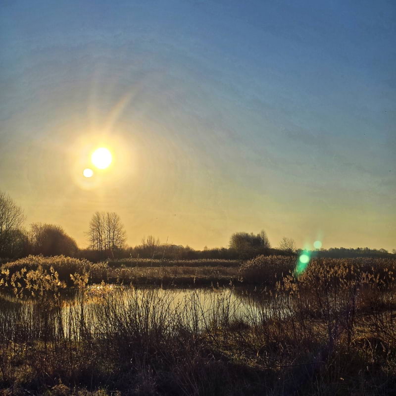 Bild fr&aring;n Oset naturreservat av Cecilia&nbsp;S. (2026-05-01)