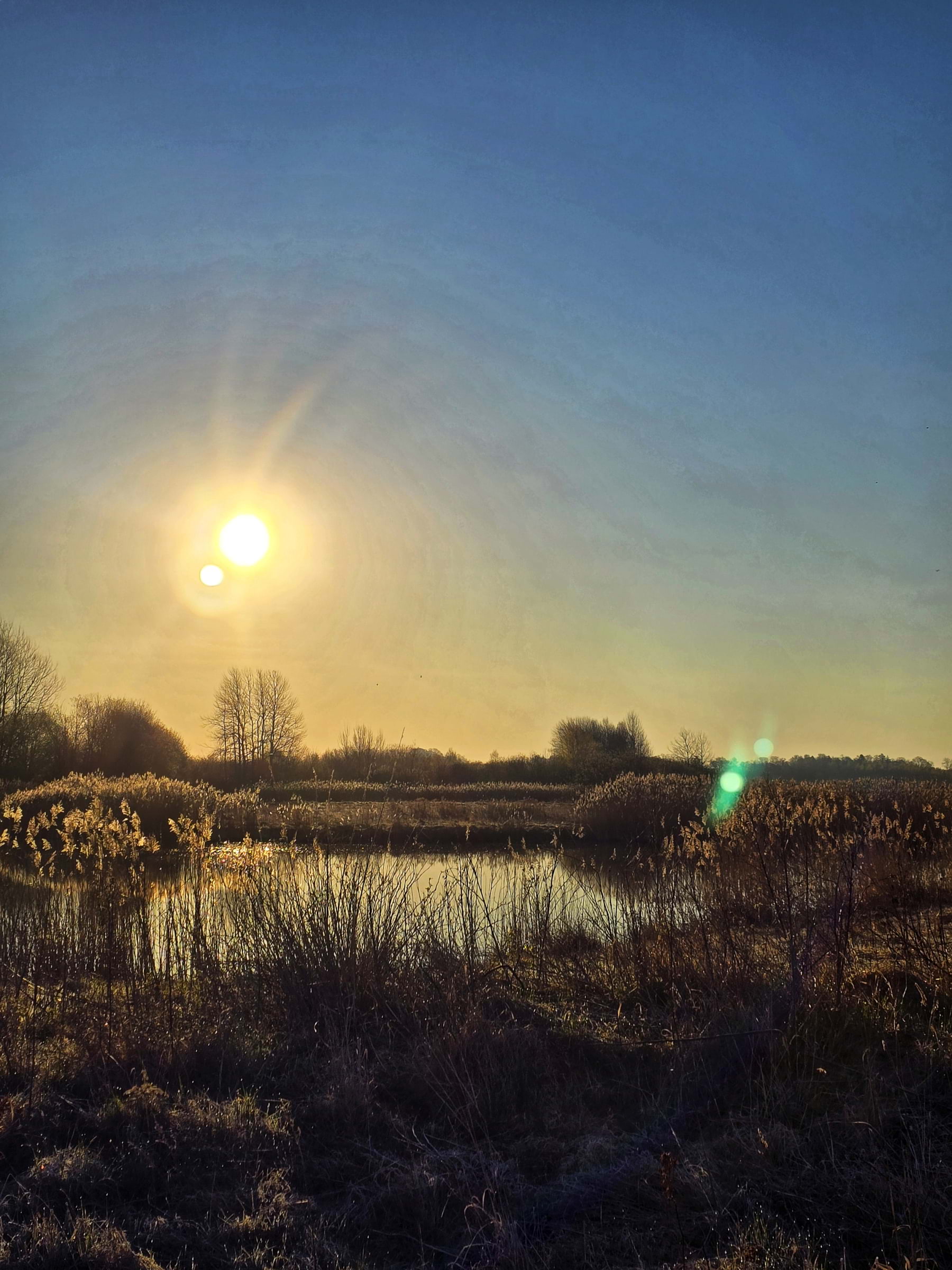 Bild från Oset naturreservat av Cecilia S. (2026-05-01)