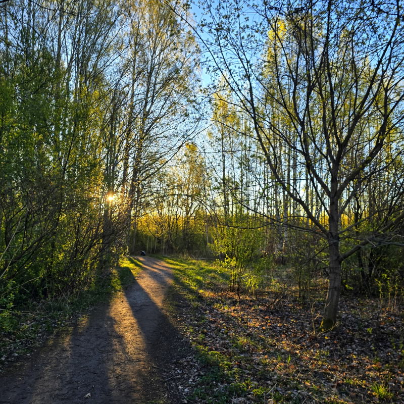 Bild fr&aring;n Oset naturreservat av Cecilia&nbsp;S. (2026-05-01)