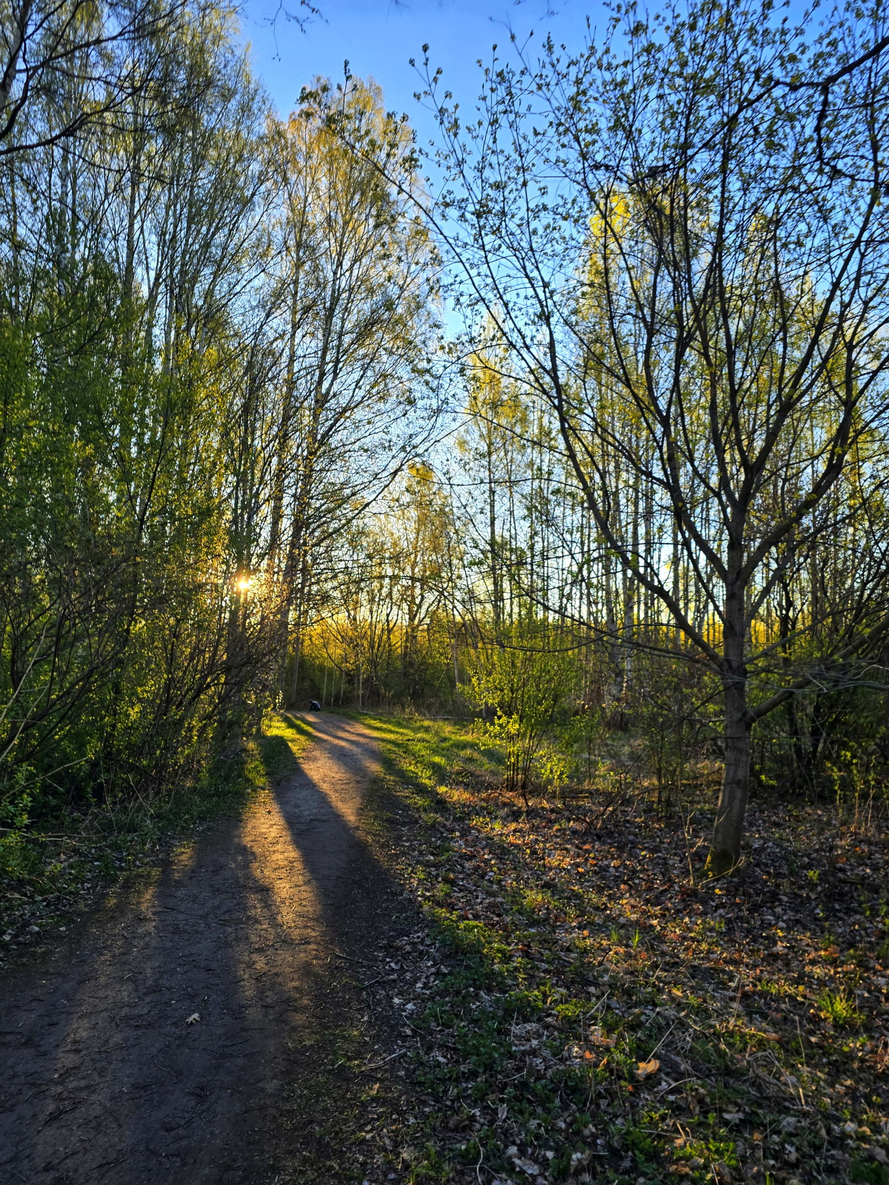 Bild från Oset naturreservat av Cecilia S. (2026-05-01)