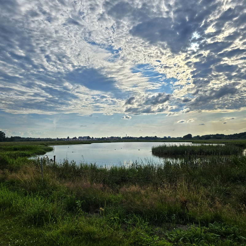 Bild fr&aring;n Oset naturreservat av Cecilia&nbsp;S. (2026-05-04)
