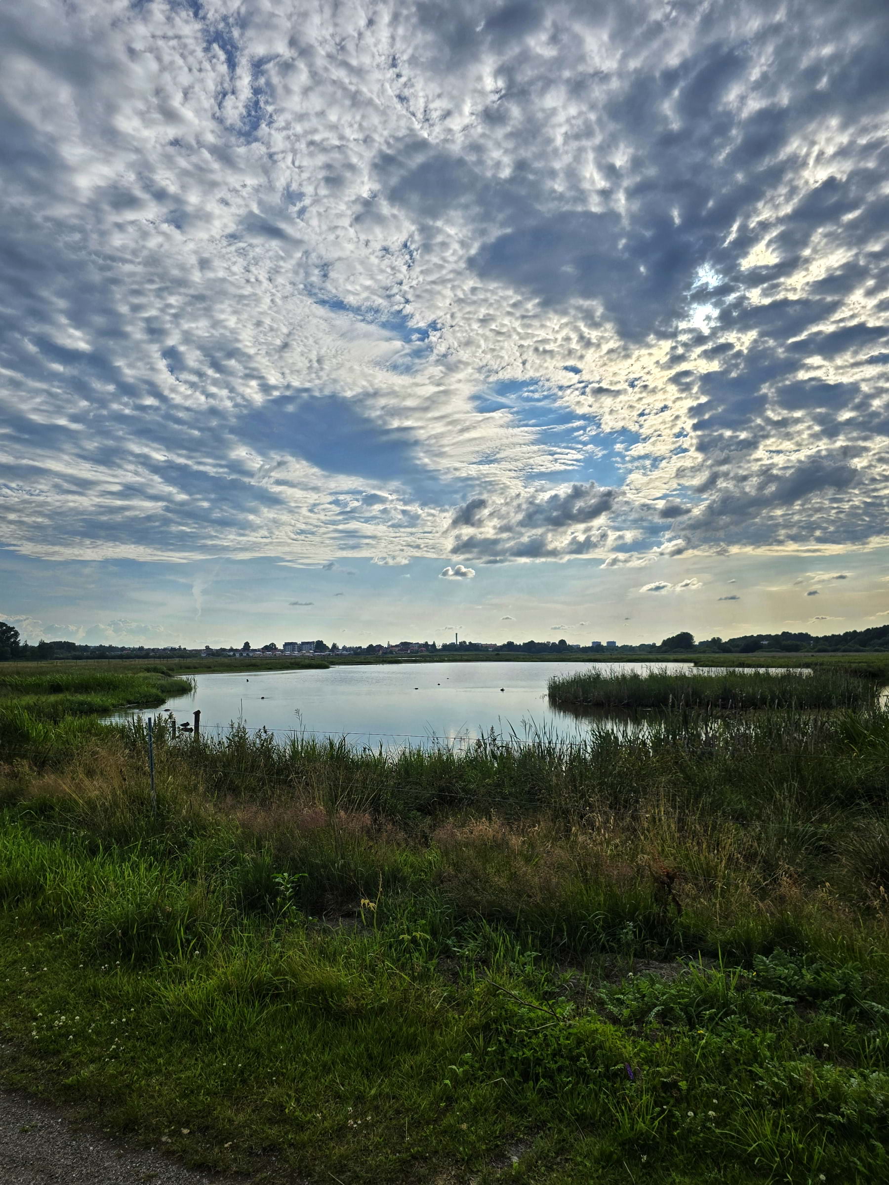 Bild från Oset naturreservat av Cecilia S. (2026-05-04)