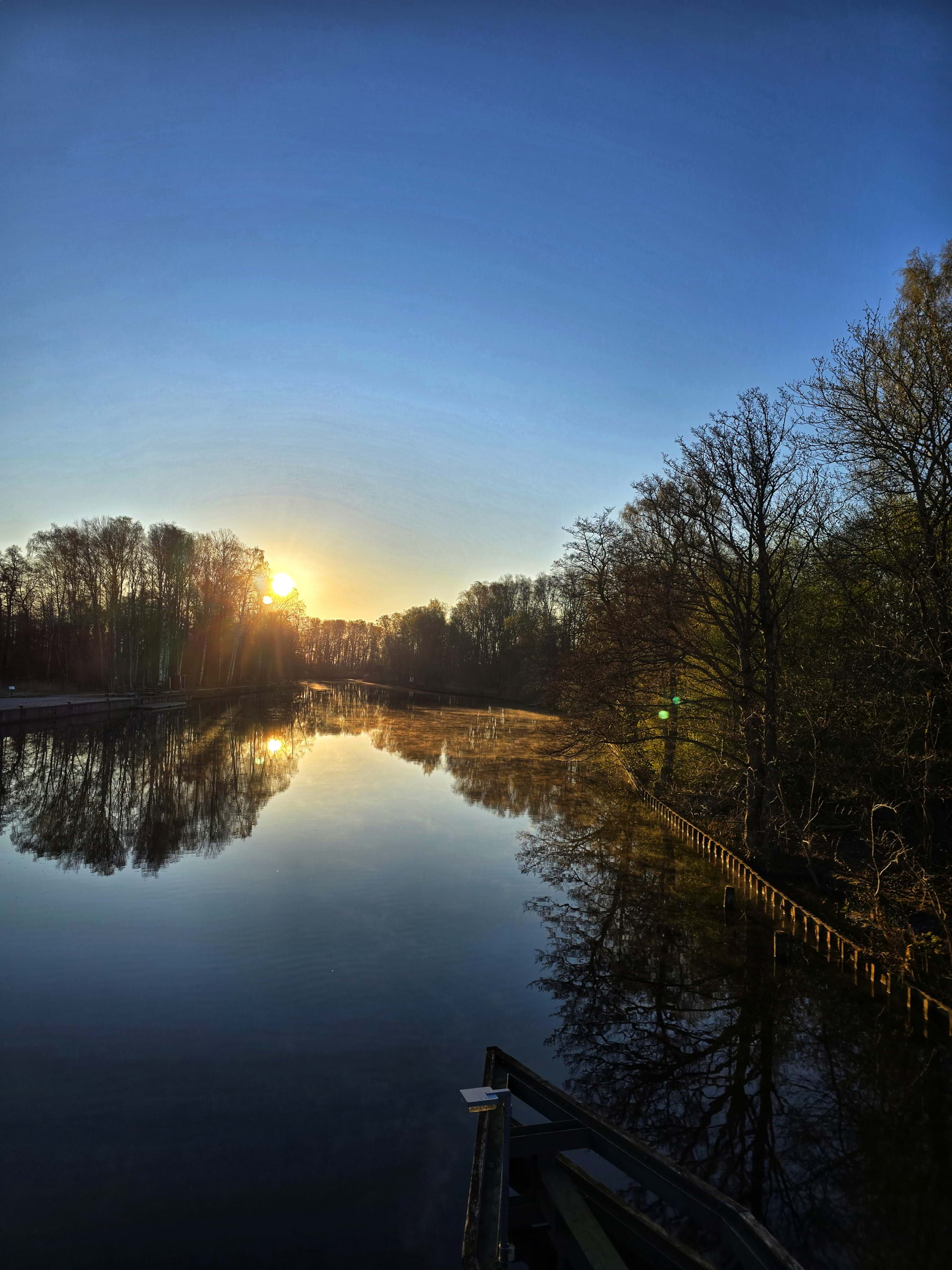 Bild från Oset naturreservat av Cecilia S. (2026-05-01)