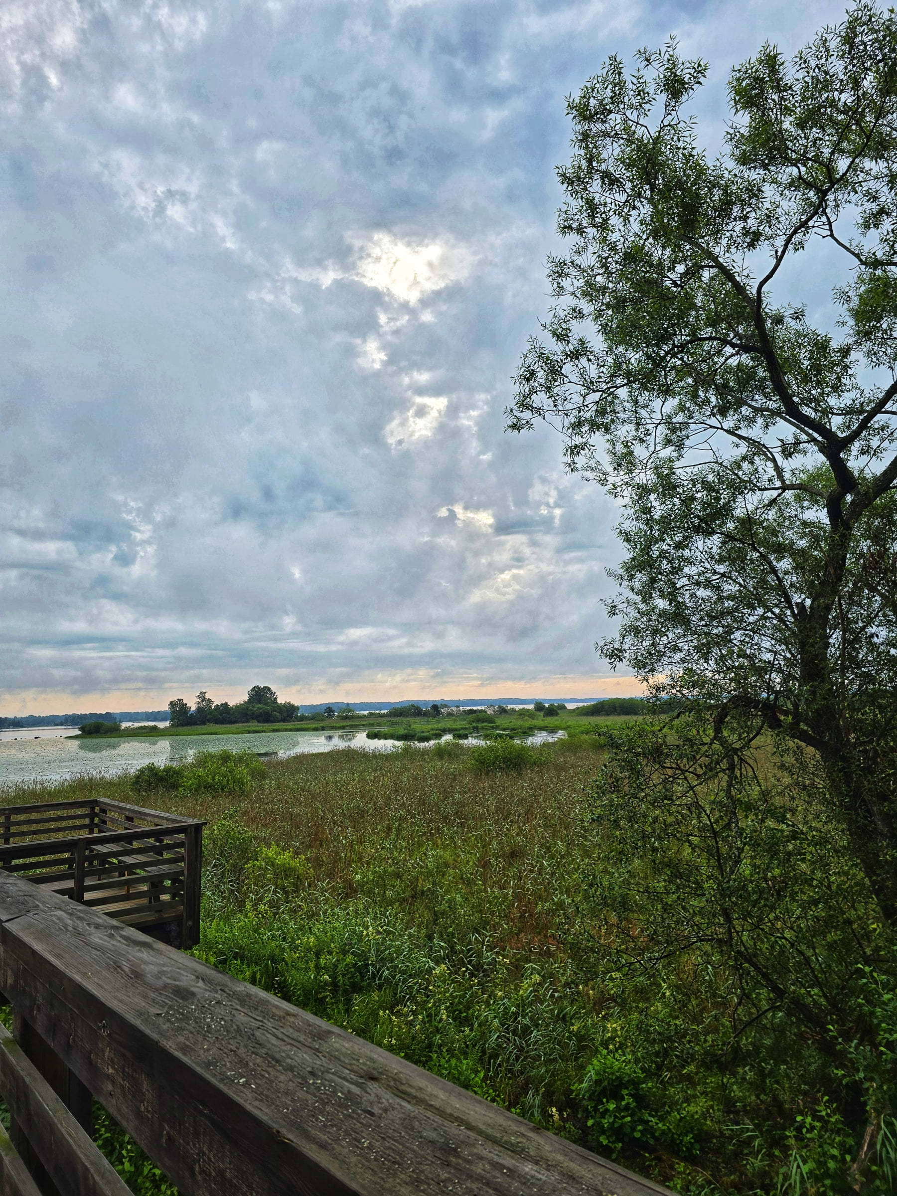 Bild från Oset naturreservat av Cecilia S. (2026-05-04)