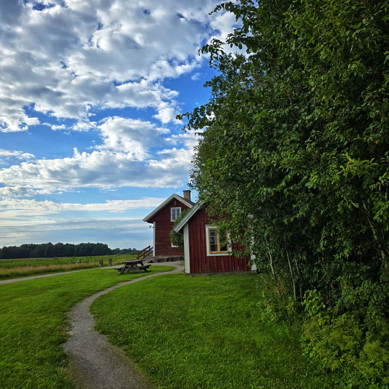 Bild fr&aring;n Oset naturreservat av Cecilia&nbsp;S. (2026-05-04)