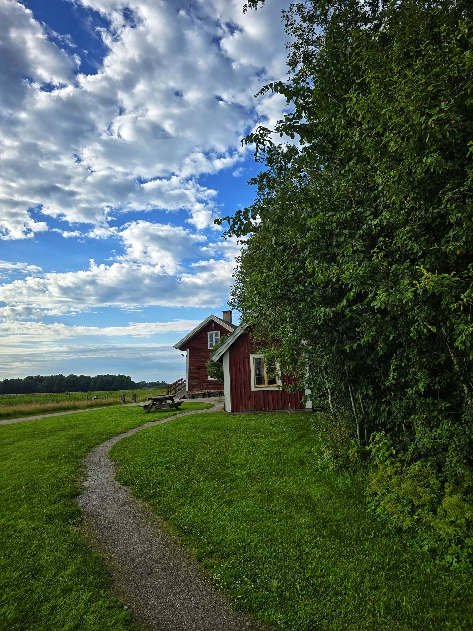 Bild från Oset naturreservat av Cecilia S. (2026-05-04)