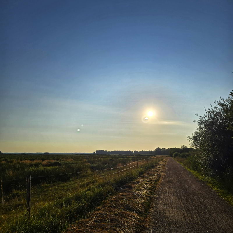 Bild fr&aring;n Oset naturreservat av Cecilia&nbsp;S. (2026-05-04)