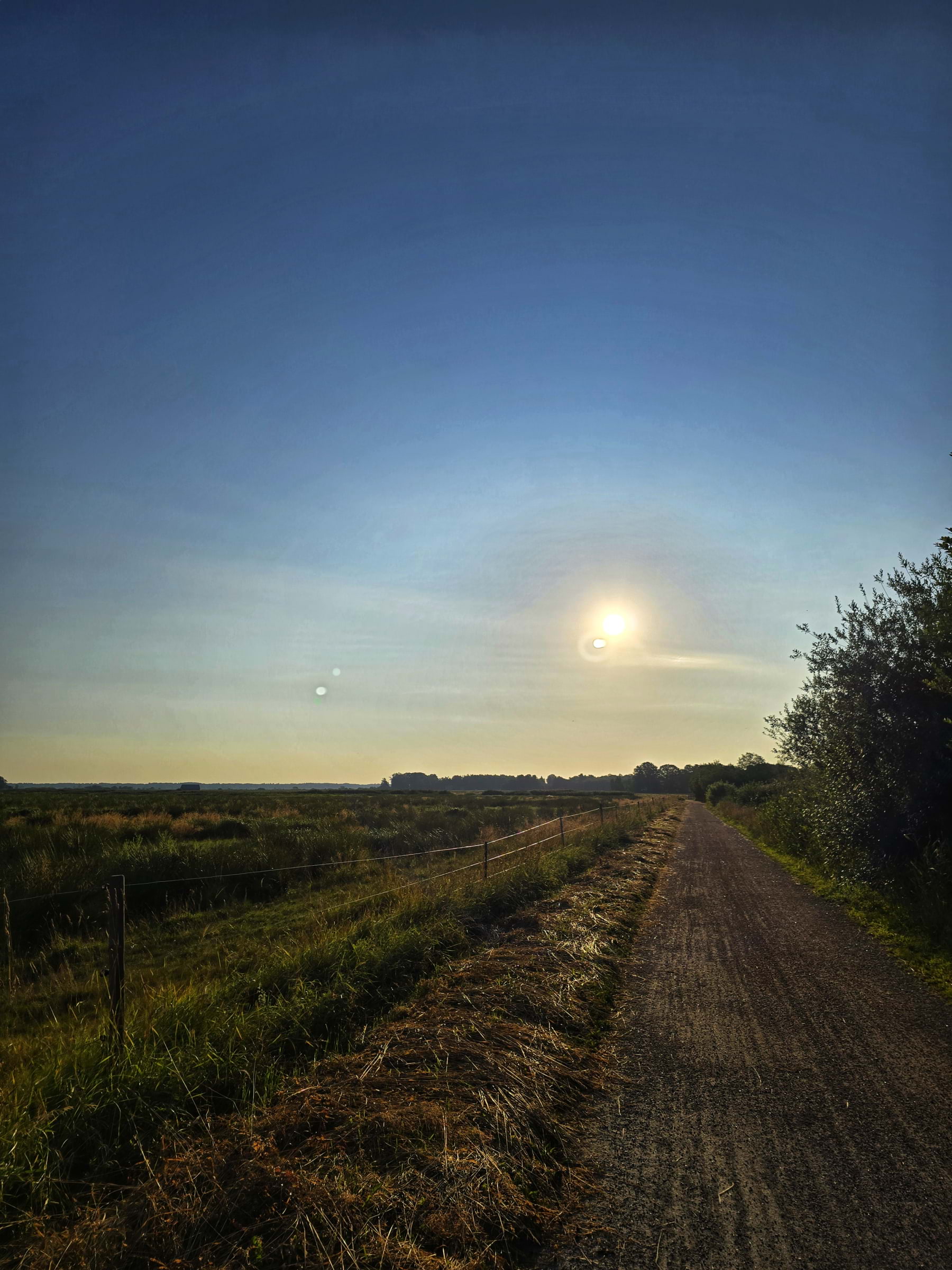 Bild från Oset naturreservat av Cecilia S. (2026-05-04)