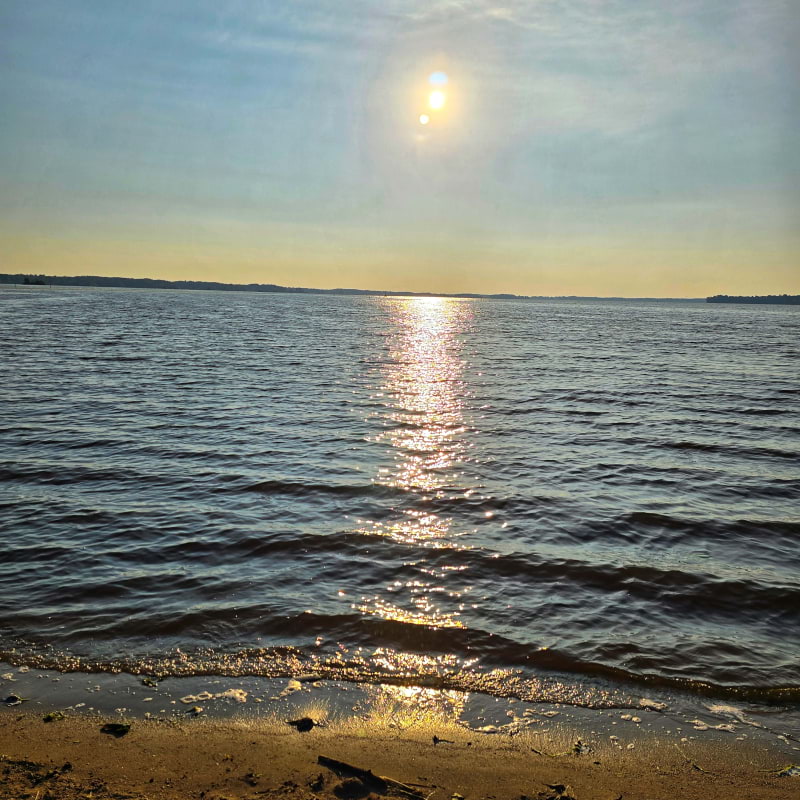 Bild fr&aring;n Oset naturreservat av Cecilia&nbsp;S. (2026-05-04)