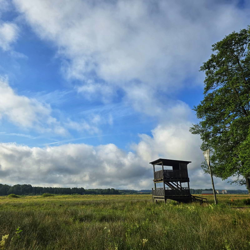 Bild fr&aring;n Oset naturreservat av Cecilia&nbsp;S. (2026-05-04)
