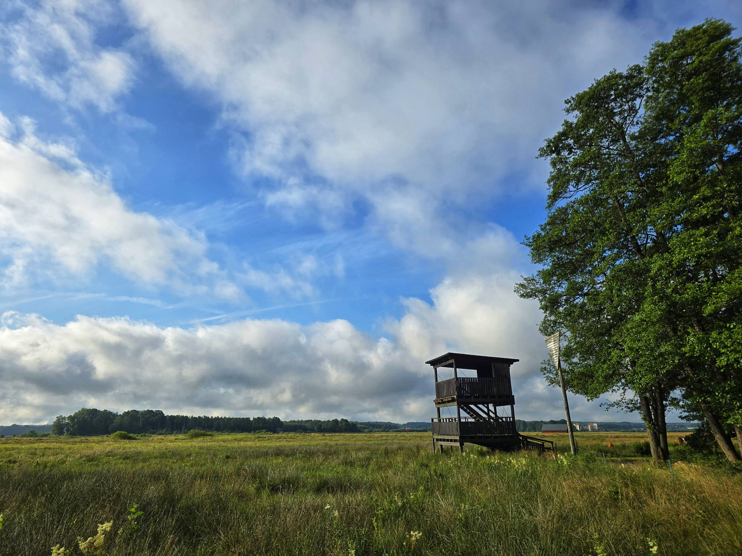 Bild från Oset naturreservat av Cecilia S. (2026-05-04)