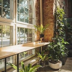 Taku-Taku Norrsken House