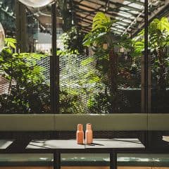 Taku-Taku Norrsken House