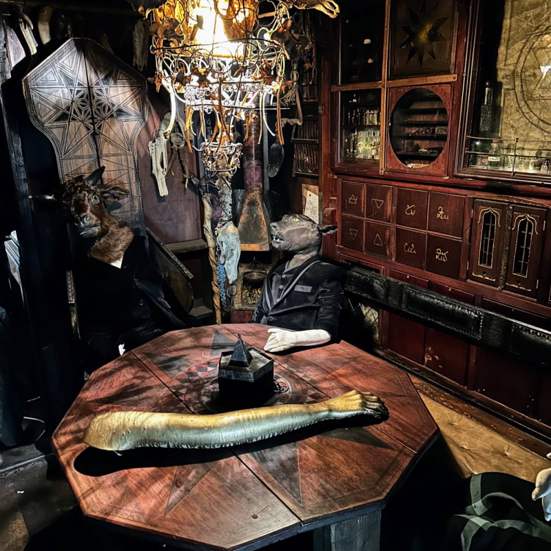 Photo from The Viktor Wynd Museum of Curiosities, Fine Art & UnNatural History by Vesna D. (17/05/2023)