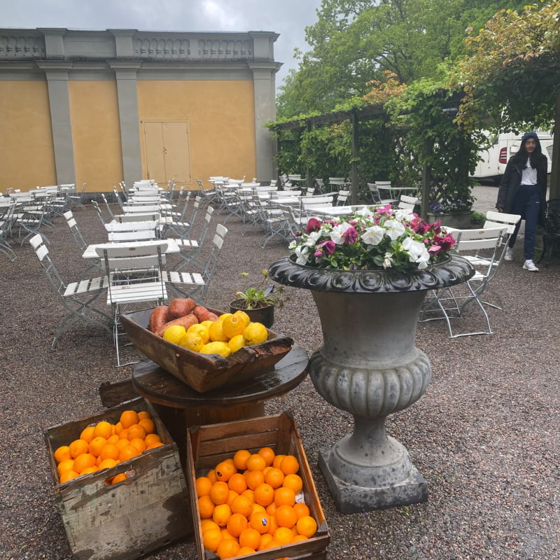 Bild från Ulriksdals slottscafé av Madiha S. (2022-05-28)