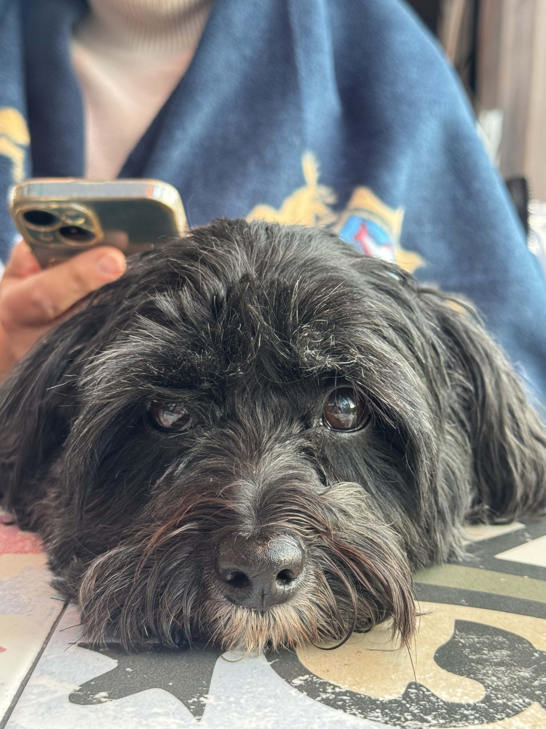 Bild från Sjöbris av Hedvig A. (2025-05-13)