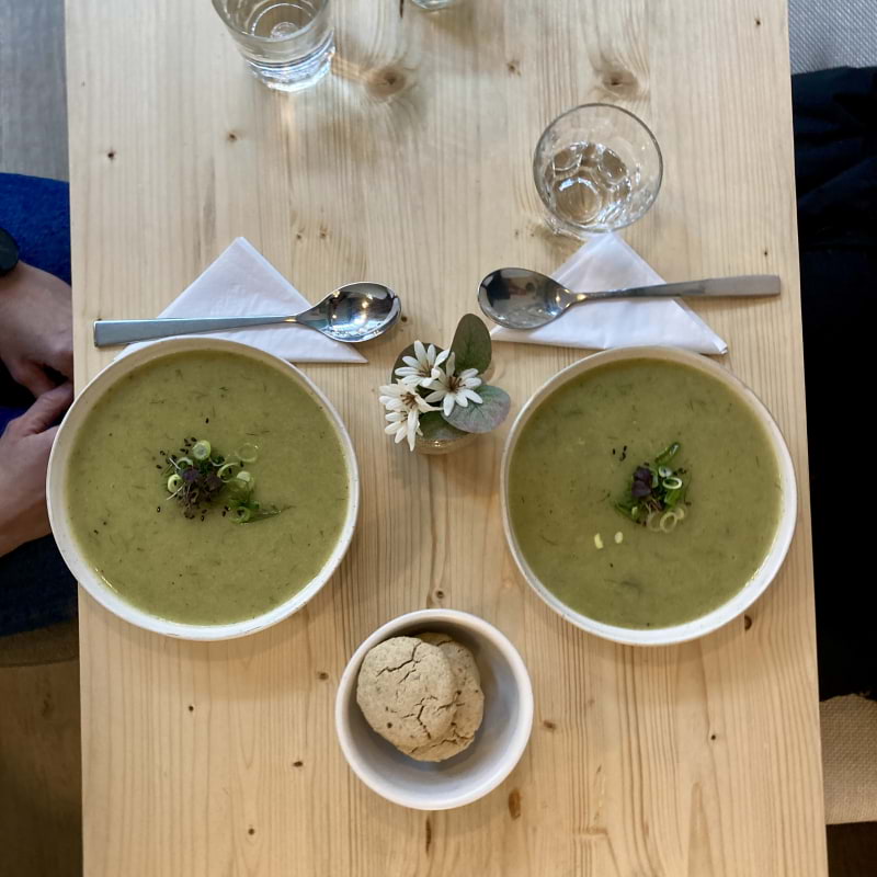 Soppa &ndash; Photo from Hey Lucie! by Lucie&nbsp;L. (11/02/2026)