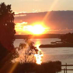 Linanäs S.