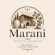 Marani G.